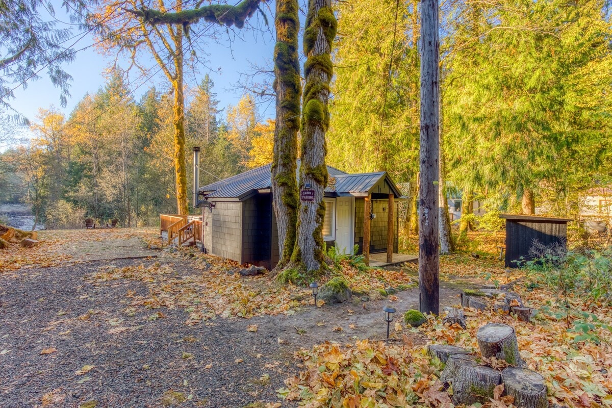 An exterior view of a dark-colored cabin with a metal roof, nestled among tall trees with mossy trunks, featuring a gravel driveway and fallen autumn leaves scattered across the ground.
