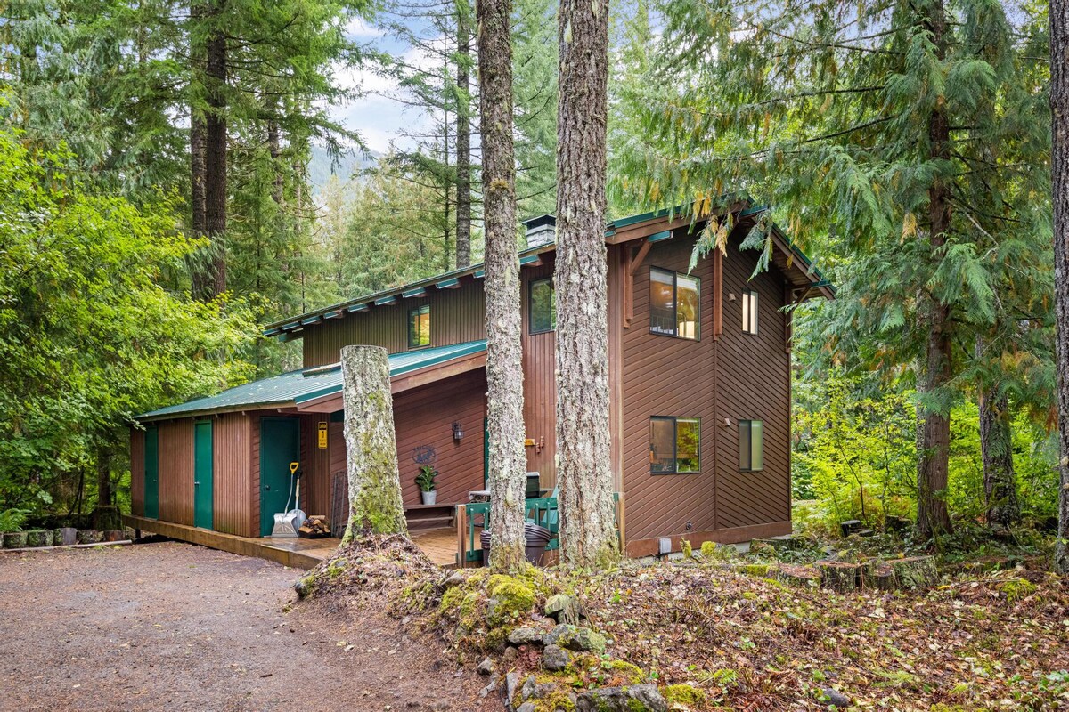 Front-side view of a two-story brown wooden cabin with a green metal roof, nestled among tall evergreen trees, featuring a small covered porch area and a gravel driveway.