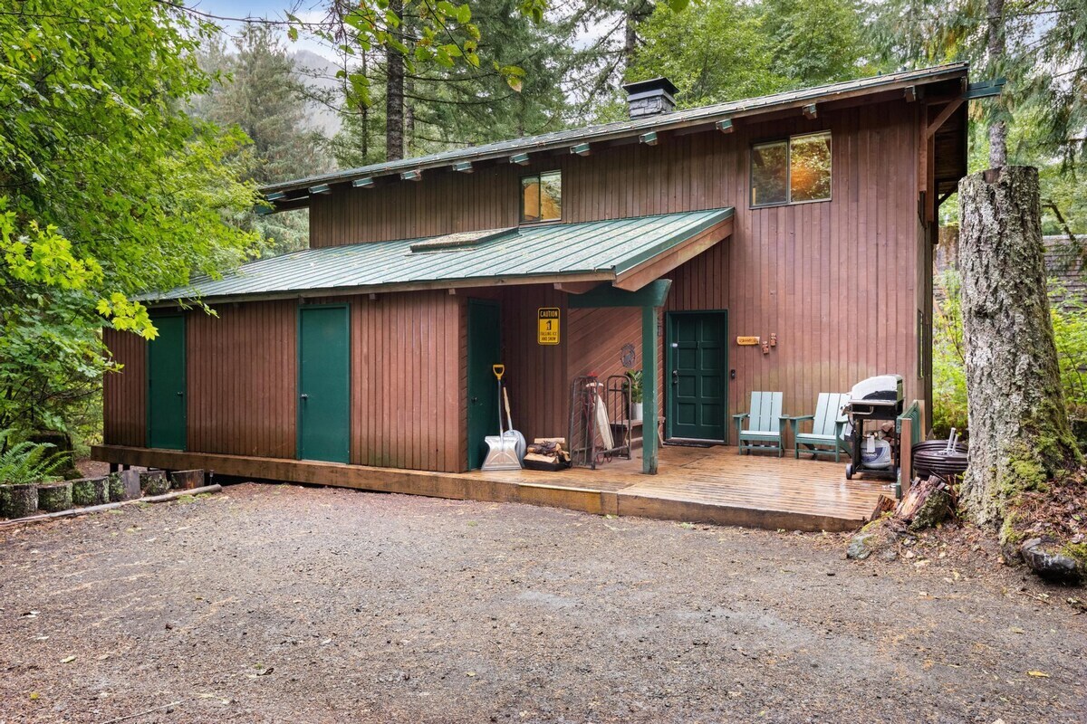 Side view of a rustic brown wooden cabin with a green metal roof, featuring a small wooden deck with green doors, a grill, and two Adirondack chairs, surrounded by dense forest.