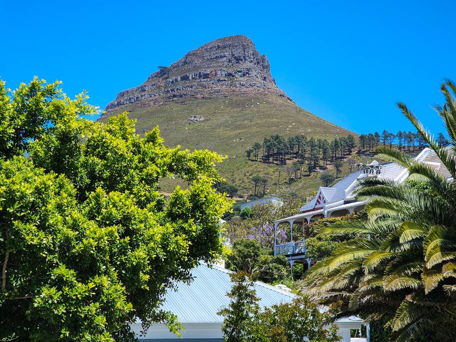 View 3