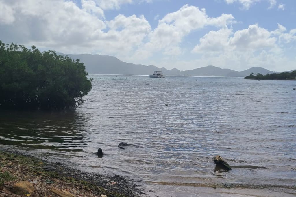 Cozy Waterfront Cottage Sleeps 6 — Belle Vue, Jost Van Dyke — vacation rental