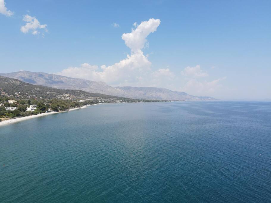 View 10