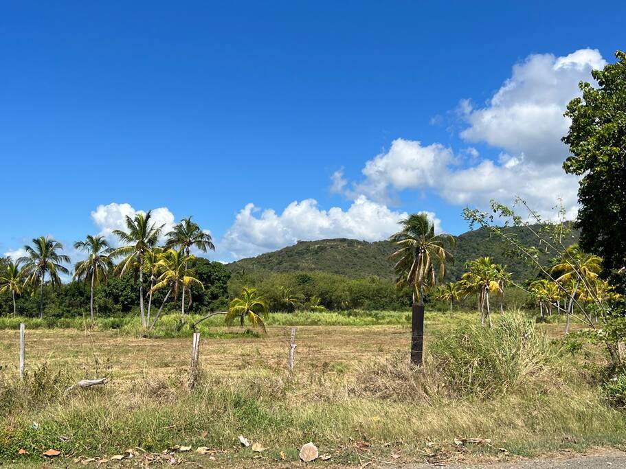 View 3