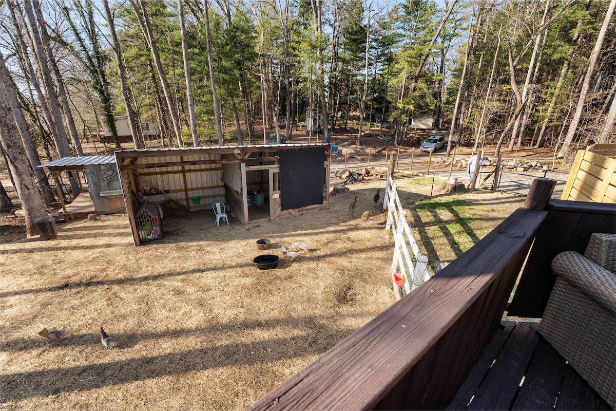 Asheville Farm Retreat, hot tub, King bed, firepit — Asheville, NC — vacation rental