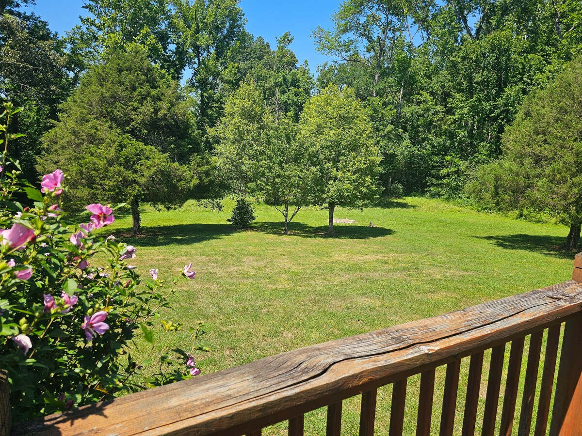 View 2