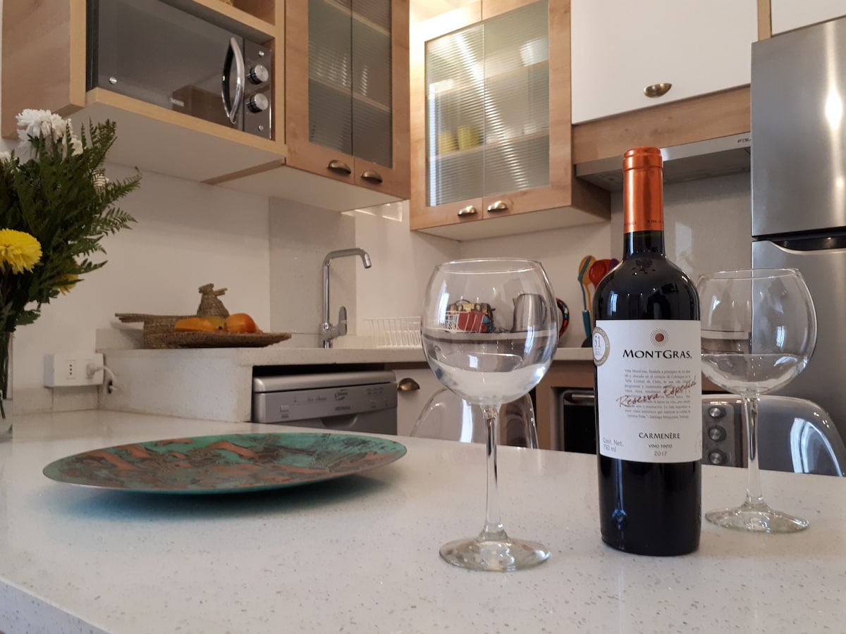 Chic and modern kitchen with a touch of elegance, perfect for enjoying a glass of wine and preparing gourmet meals.