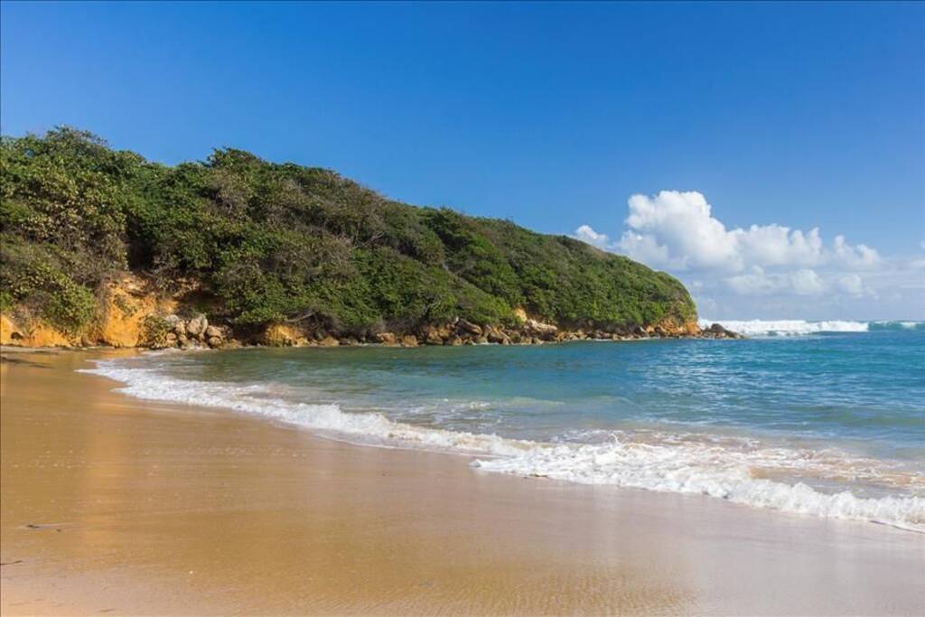 Daria Beachfront community steps 2 pool- Generator 3