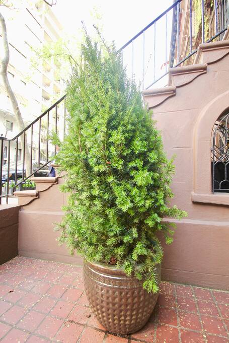 Private, Beautiful Upper Eastside Townhome — The Yews #1