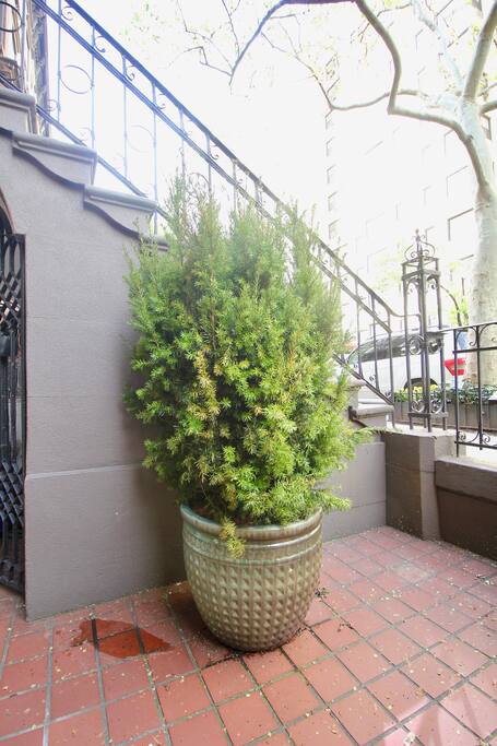 Private, Beautiful Upper Eastside Townhome — The Yews #2