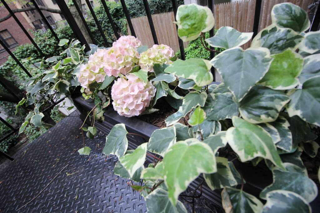 Private, Beautiful Upper Eastside Townhome — With care we share in the abundance of life...