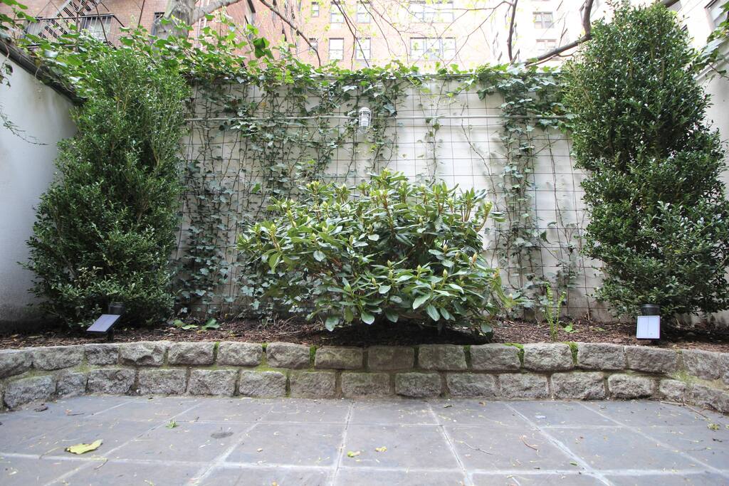 Private, Beautiful Upper Eastside Townhome — Two schwoebels and a rhododendron relaxing in the courtyard.