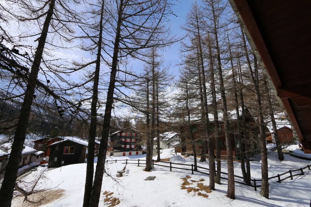View 5