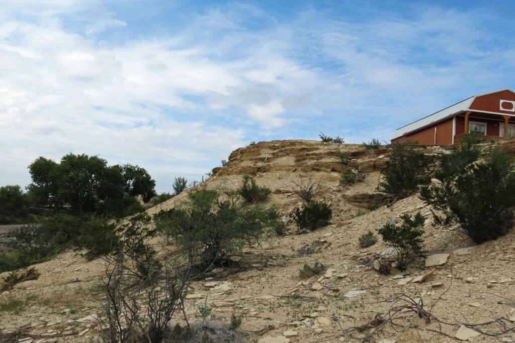 View 5
