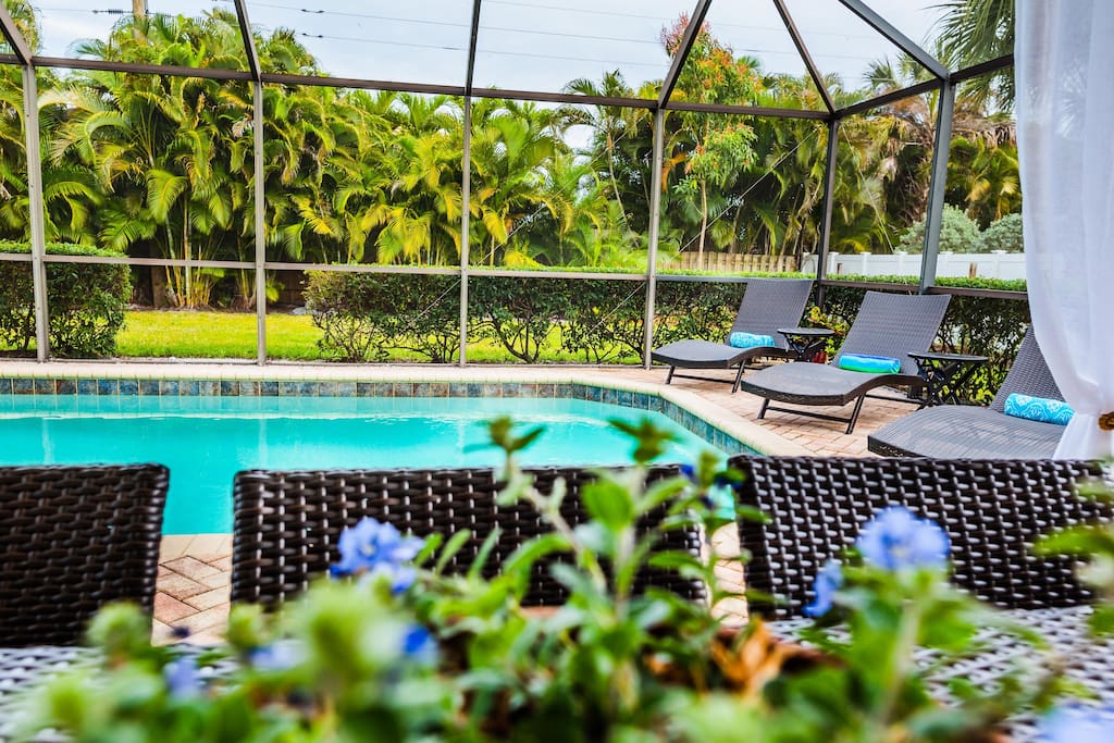 621 SeaRenity Retreat | Private Pool & Lush Palms — Naples, FL — vacation rental