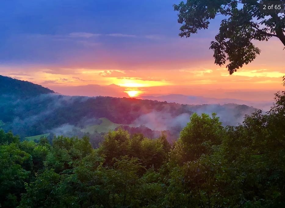 Hoot Owl | Free Night Offer! — Morganton, GA — vacation rental