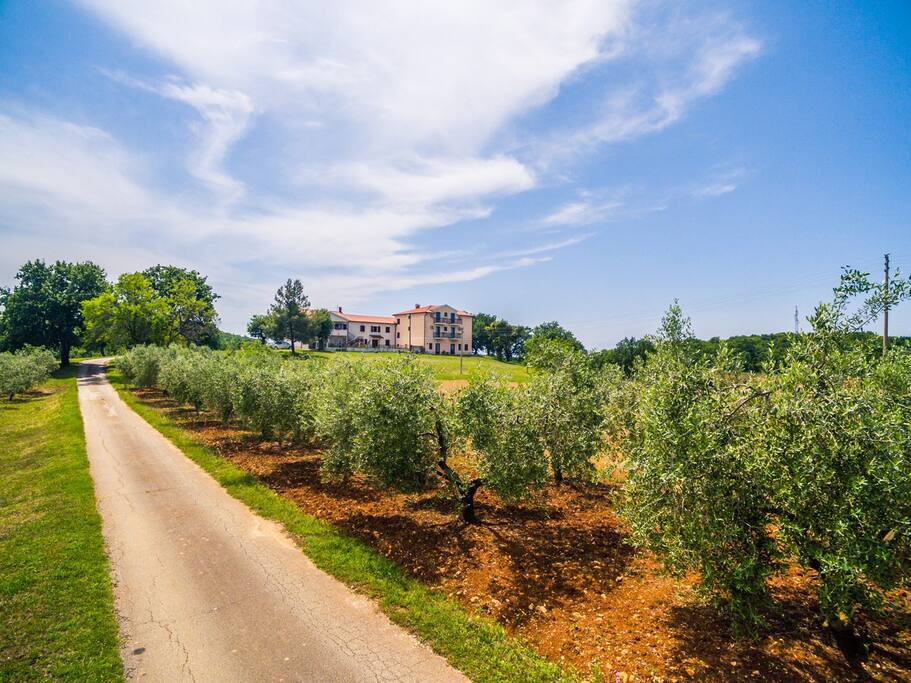 Lovely House LINDI in Poreč- One-bedroom apartment — Poreč, Istarska županija — vacation rental