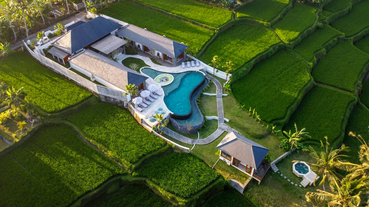 Villa Paradise 6BR :Infinity Pool,Gym & Rice Field — Ubud, Bali — vacation rental