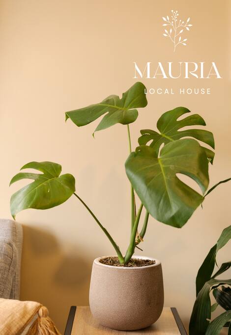 Local, Cozy and Modern Laureles Experience photo 2