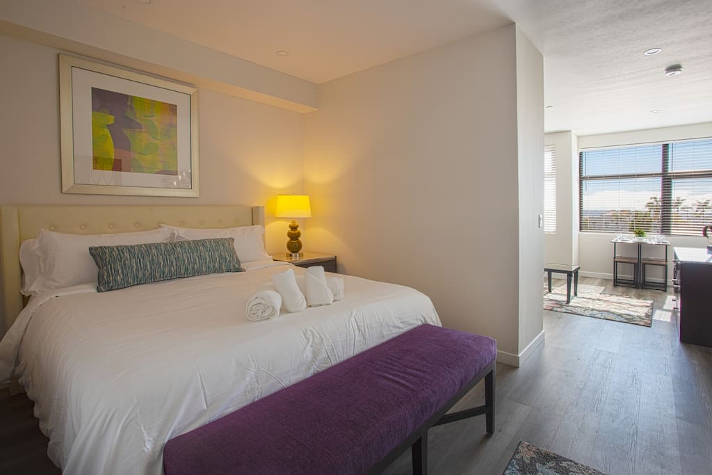 Luxurious Design One Bedroom Apt near Balboa Park — San Diego, CA — vacation rental