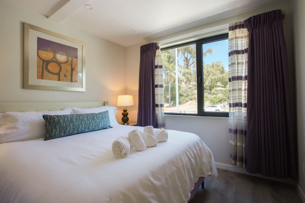 Spacious 500 sqft Studio with Balboa Park View — San Diego, CA — vacation rental