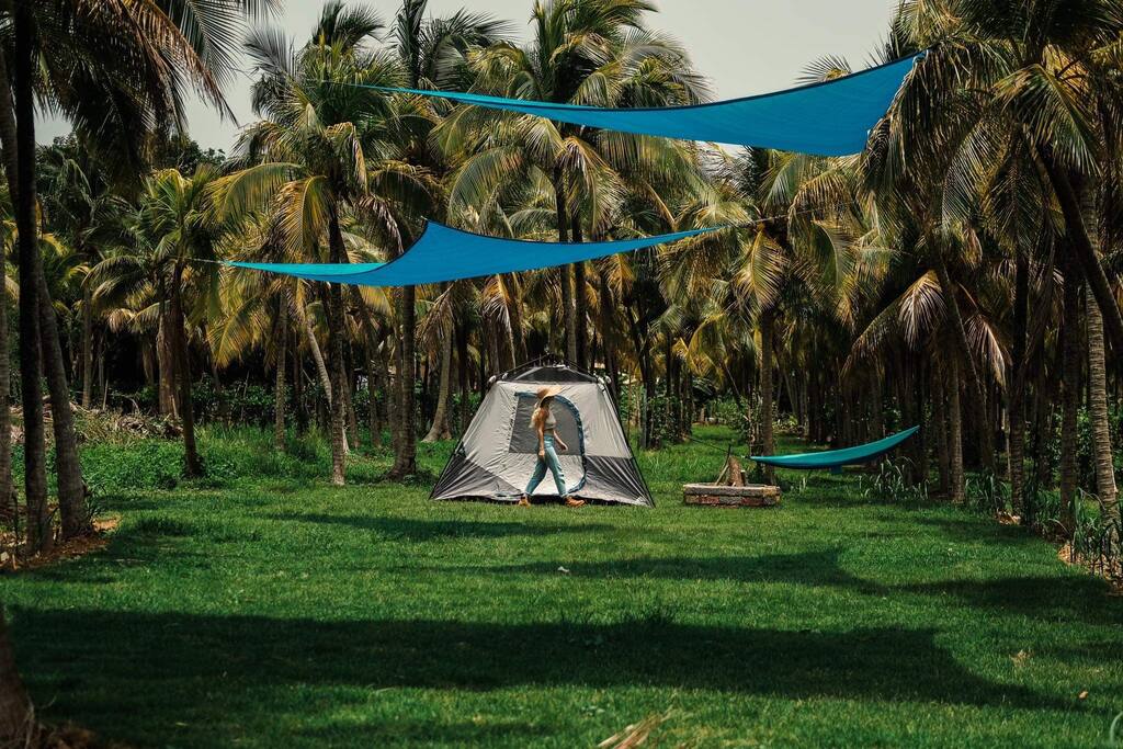 Zona de acampar en finca de palmas frente al mar — Lamboglia, Patillas — vacation rental