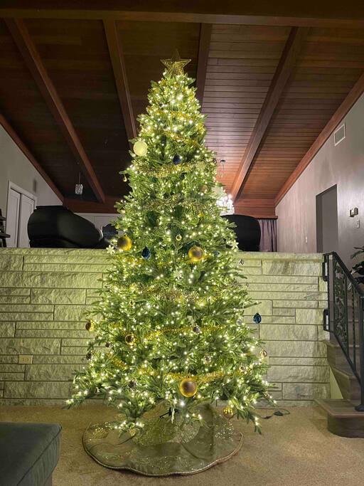 Christmas decorations for the month of December.