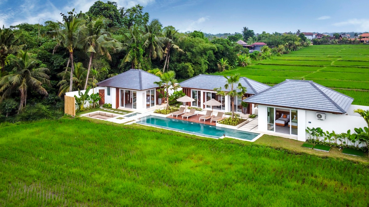 So'Cocoon: 2BR paddy view Villa 5mins to central — Ubud, Bali — vacation rental