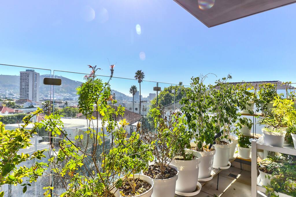 View 2