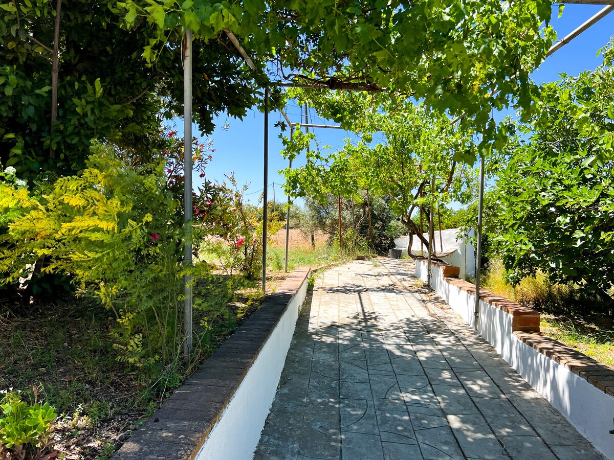 Property thumbnail 48