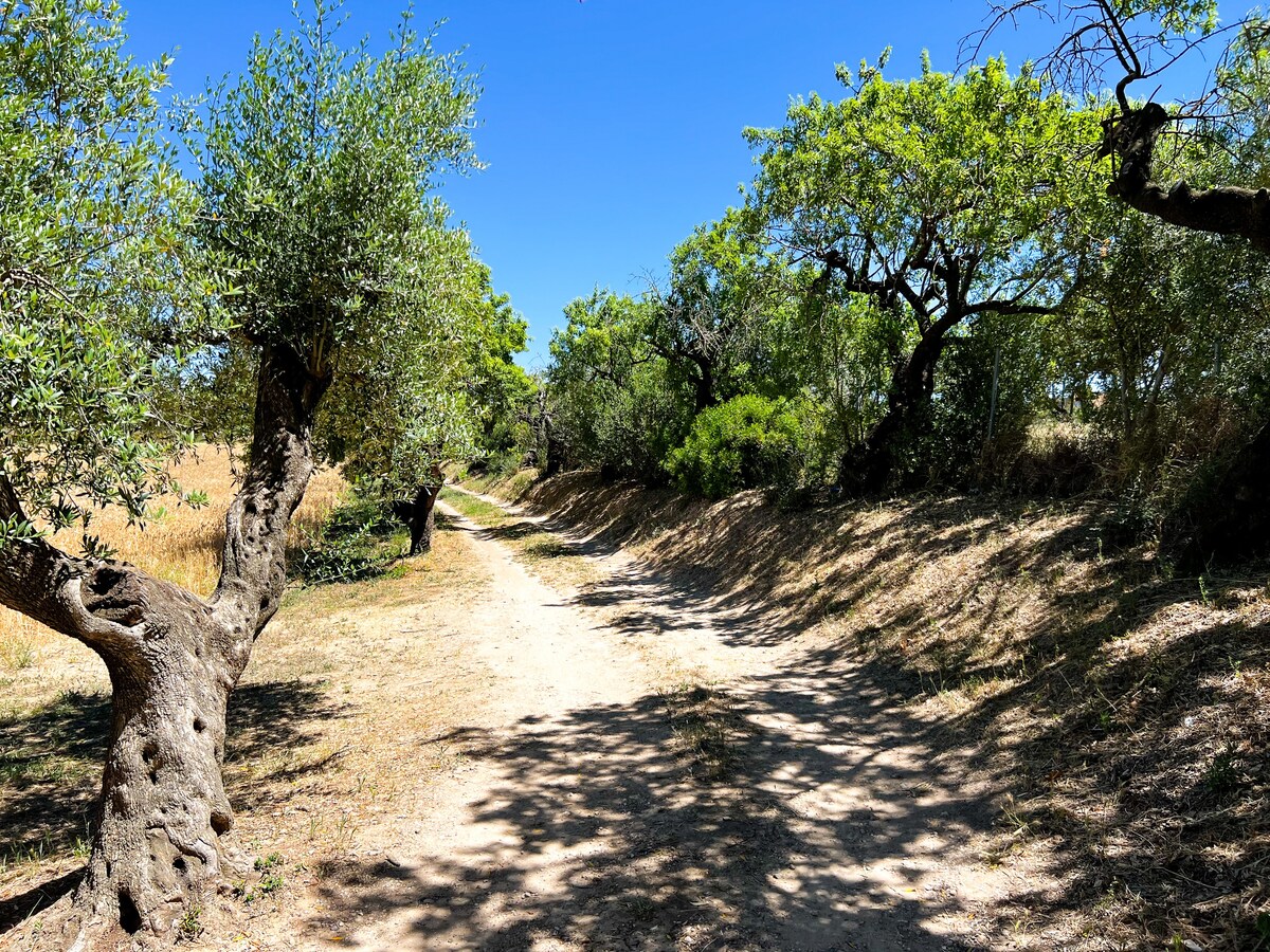 Property thumbnail 50