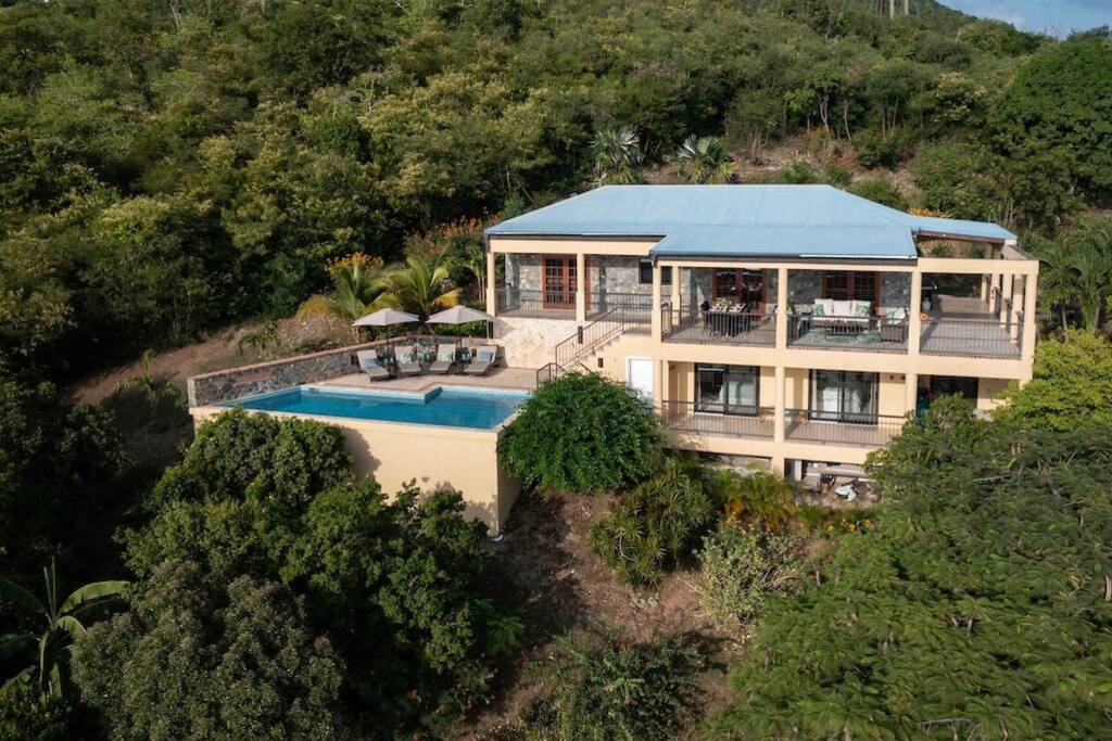 Mango Tree Pool Beneath the Mango Tree | Pool & Ocean Views | Cruz Bay | BOOKVI