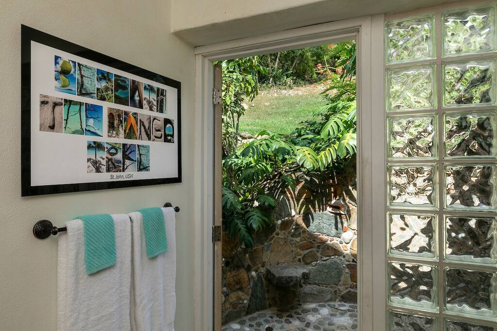 Mango Tree Pool Beneath the Mango Tree | Pool & Ocean Views | Cruz Bay | BOOKVI