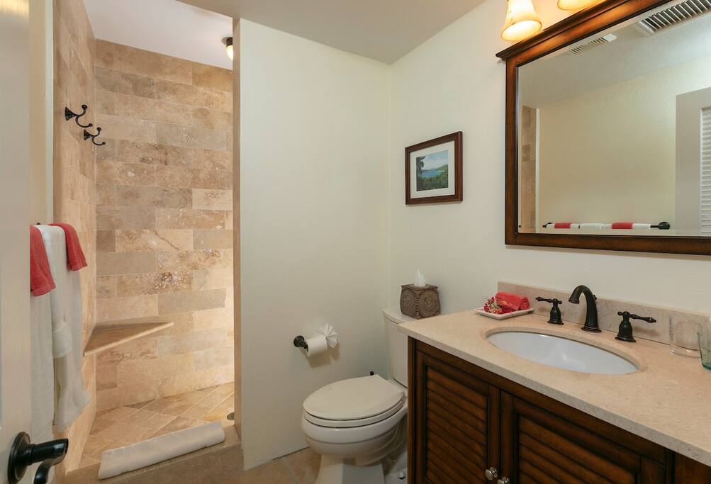 Mango Tree Pool Beneath the Mango Tree | Pool & Ocean Views | Cruz Bay | BOOKVI