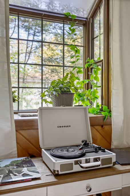 Window View and Greenery
A serene window moment with leafy greens and soft light. Whether you're journaling, sipping coffee, or simply pausing, it’s a little breath of calm.