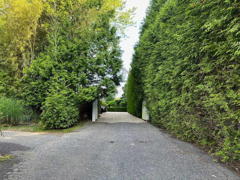 View down the hedge-lined driveway toward the street.