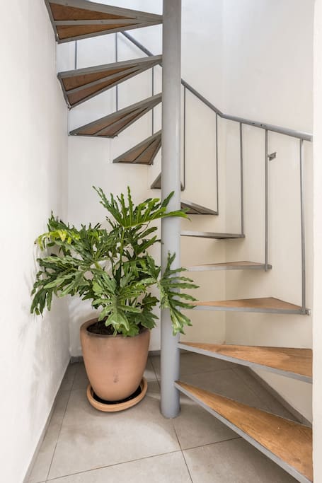 1BR Rooftop King Suite Casita in Centro San Miguel 27