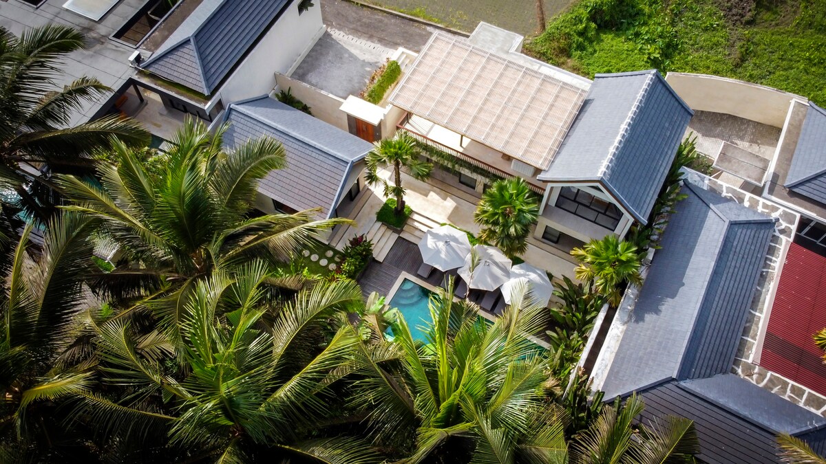 View 6