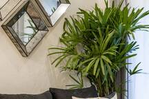 1BR Rooftop King Suite Casita in Centro San Miguel 20